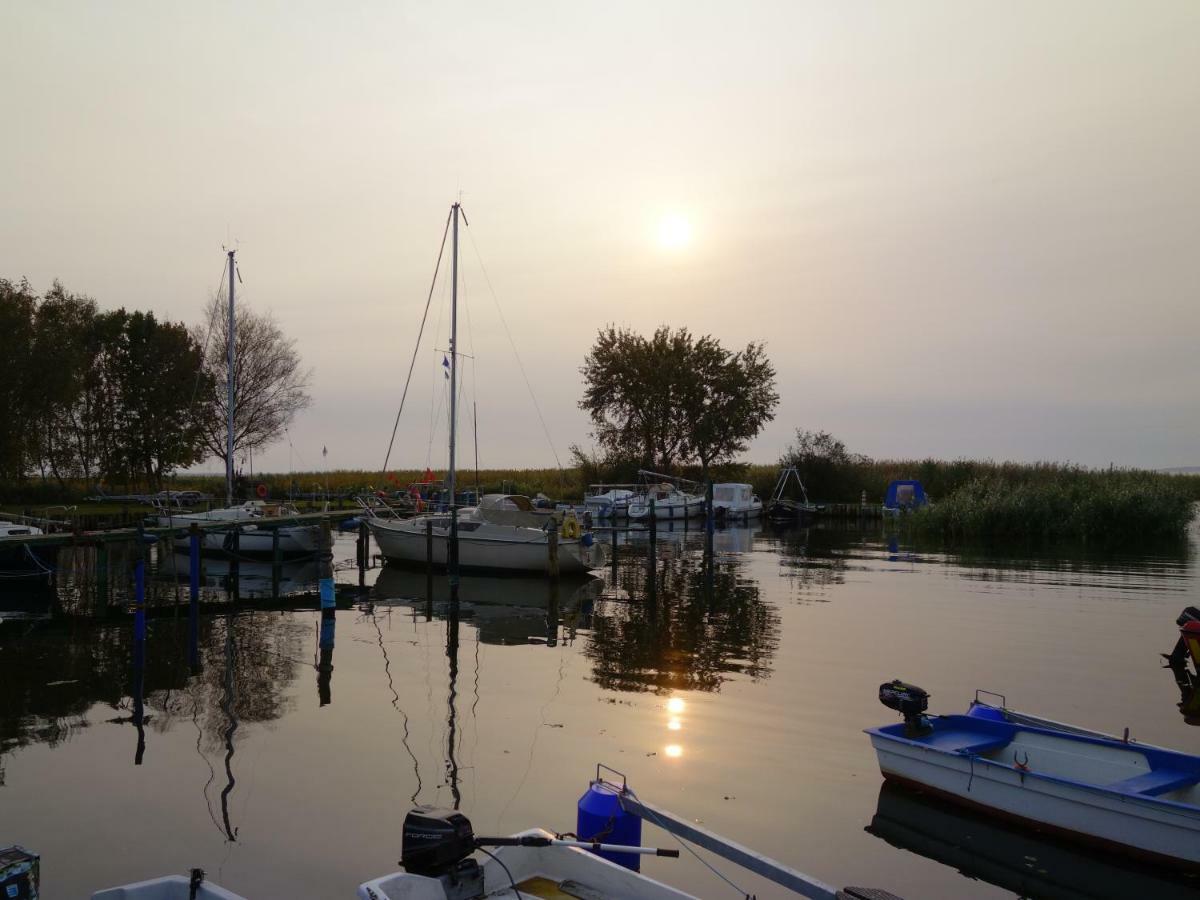 Steinbock-Ferienwohnungen Kölpinsee 외부 사진